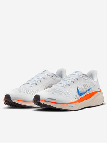 Zoom Pegasus 41 Blueprint multicolor