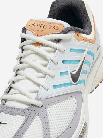 Air Pegasus 2005 'Glacier BlueTan'