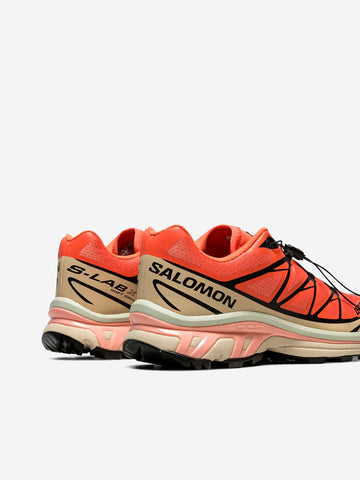 SALOMON XT-6 Living Coral Rosa