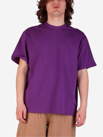 FRIZMWORKS Viola