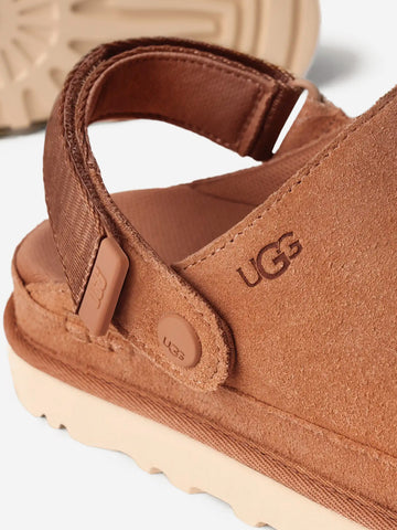 UGG W Clog Goldenstar Chestnut Castagna